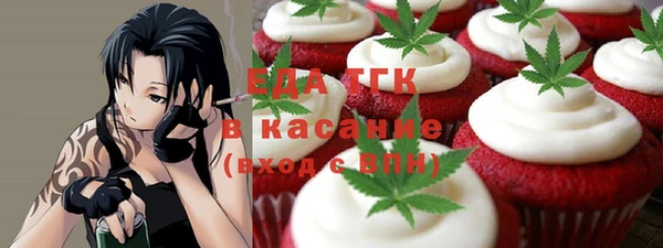 гидра Кодинск