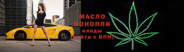 гидра Кодинск