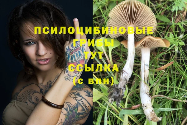 MESCALINE Козельск