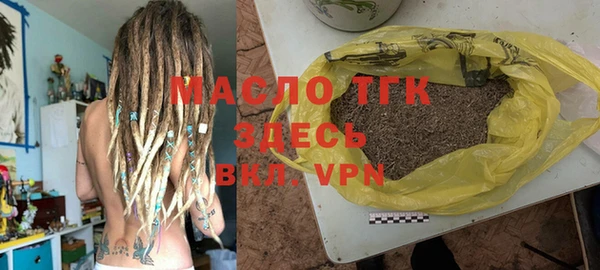 гидра Кодинск