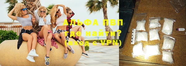 гидра Кодинск