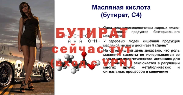 гидра Кодинск