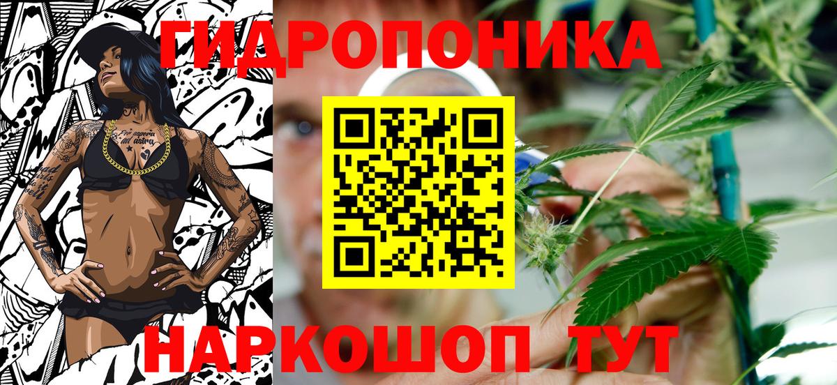 Бошки Шишки план Мелеуз